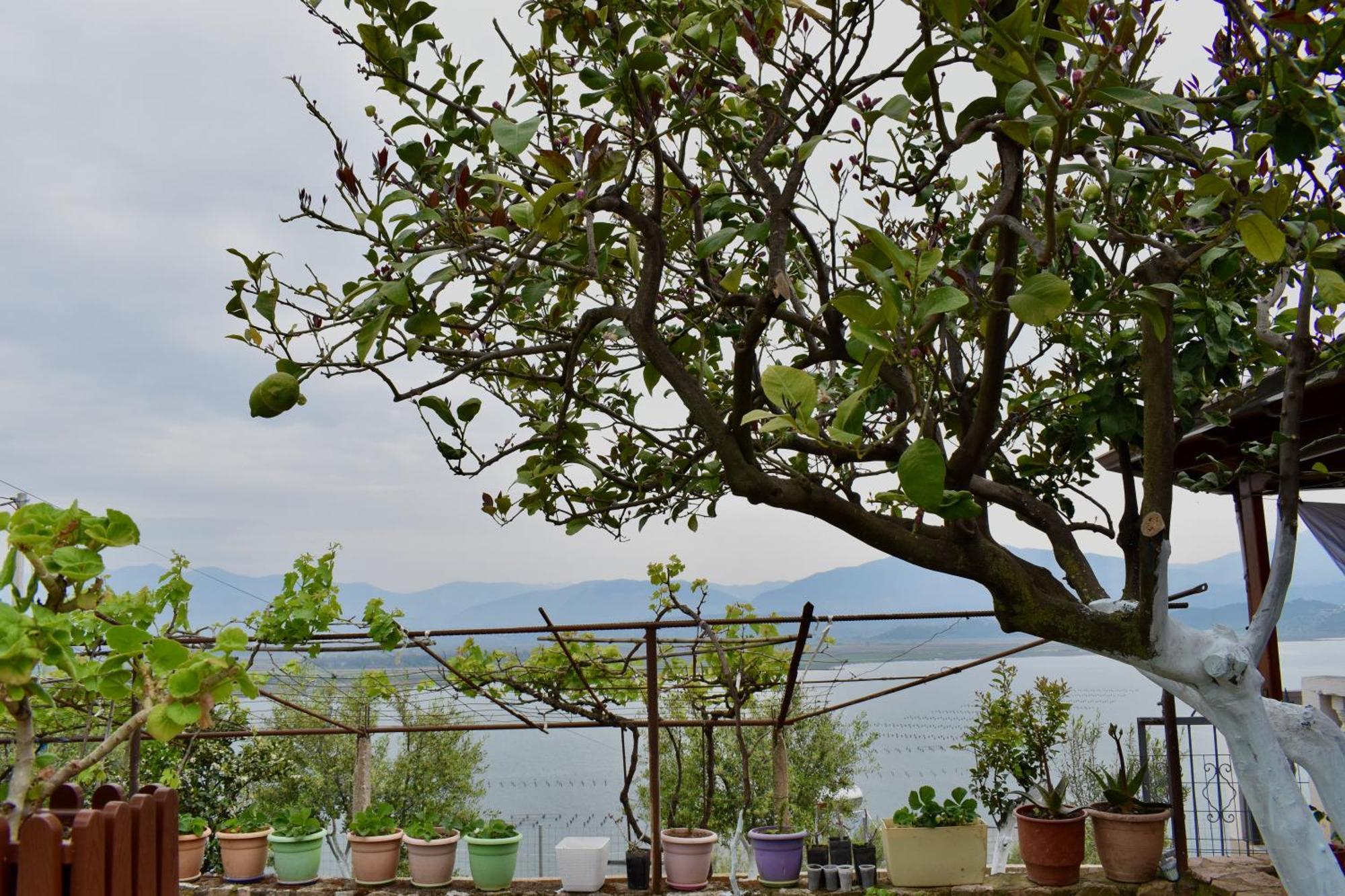 Ksamil Sea&Lake View Escape Eksteriør billede